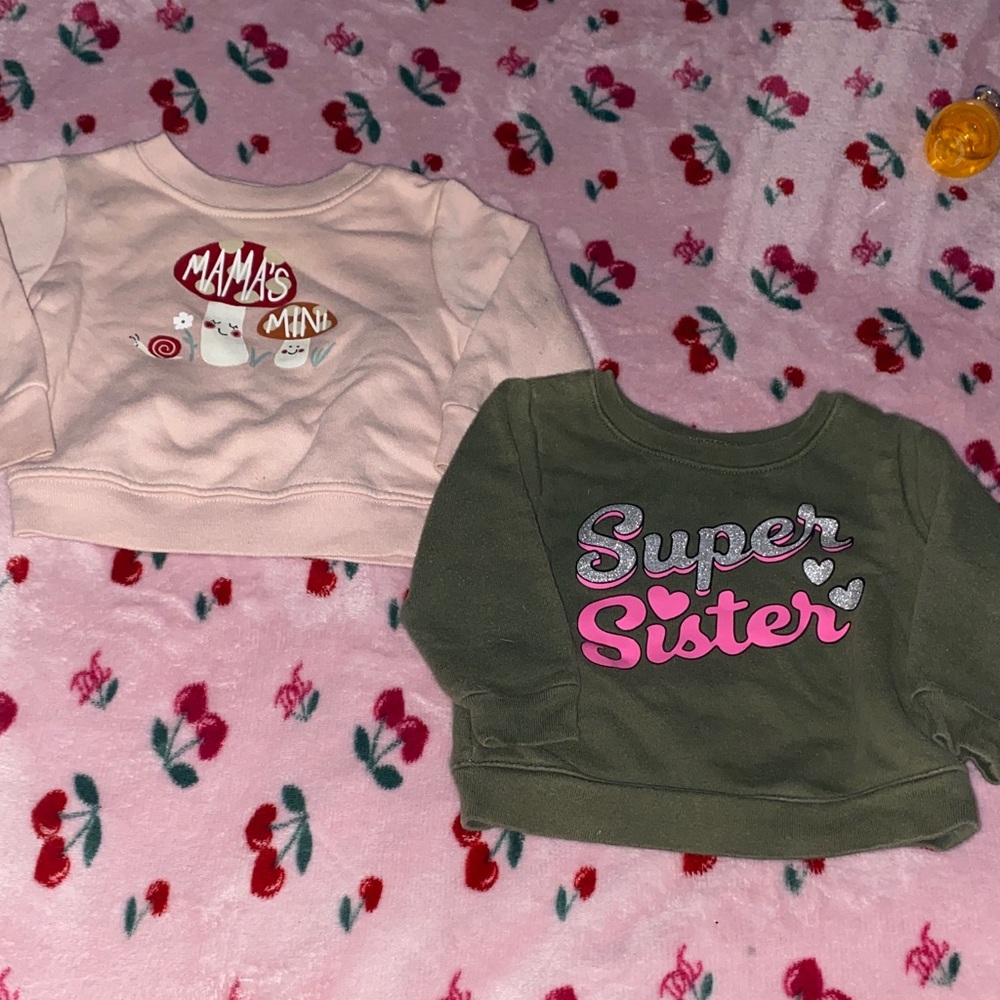Garanimals Pink and Green Kids Sweatshirt Set